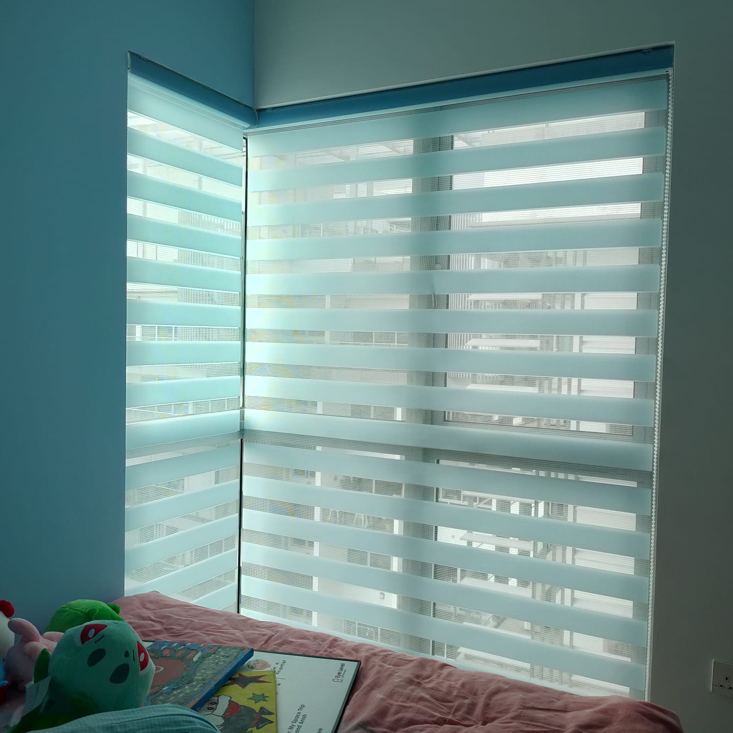 This is a Picture of Dimmer Korean combi Blinds at at Singapore condo Eight Riversuites